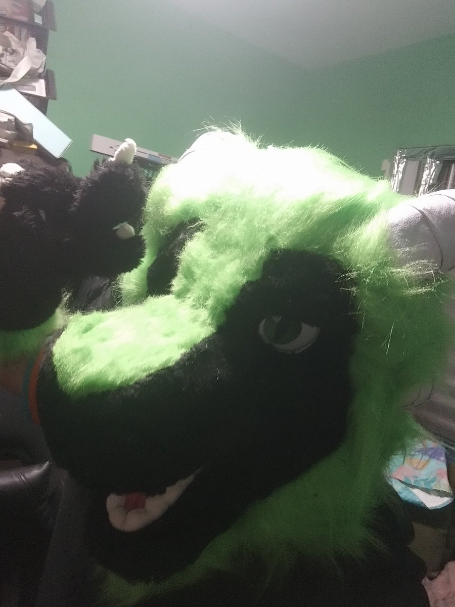 DunaiMonk's tweet photo. Finally after many years saving i got my fursuit, i like the result.

was made by @goldencarneiro! https://t.co/LnBciuTLtB
