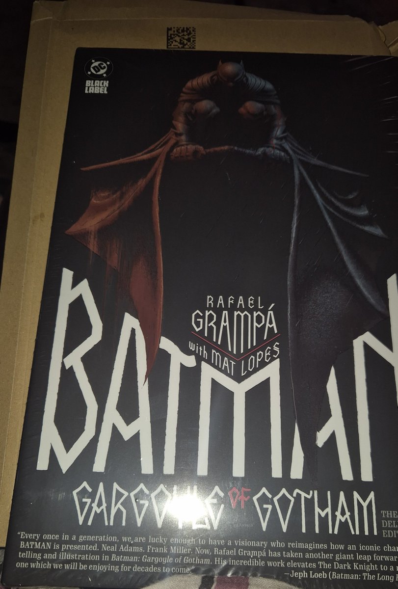 unbelieVEVEable's tweet photo. Belated happy #batmanday to me #gargoyleofgotham #batcowls https://t.co/TKexsjyIqj