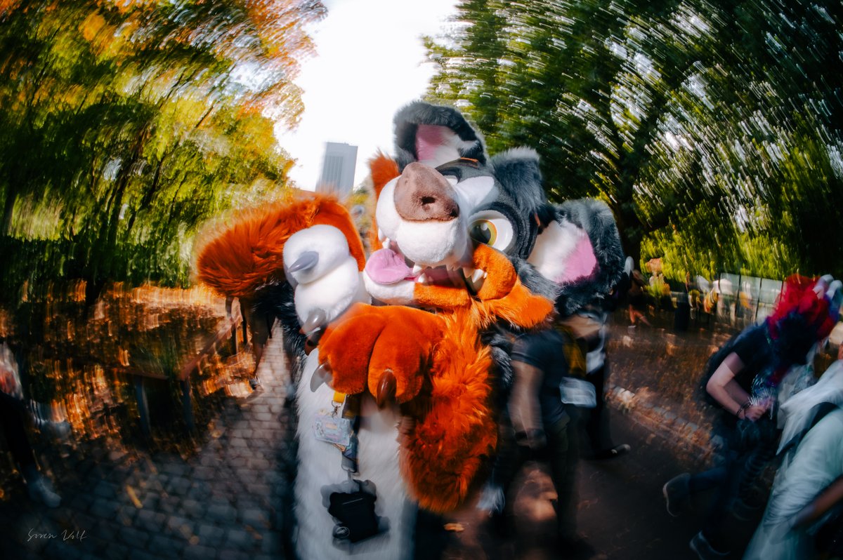 sw__wolf's tweet photo. Cute doggos are always eager to pose

#EF #EF2026 #EF30 https://t.co/3LFnaPaB9B