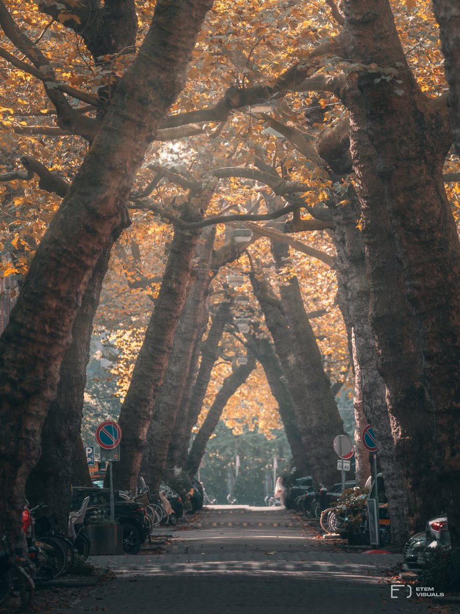 earthserenityy's tweet photo. Amsterdam Netherlands https://t.co/bVMbYJhtGS