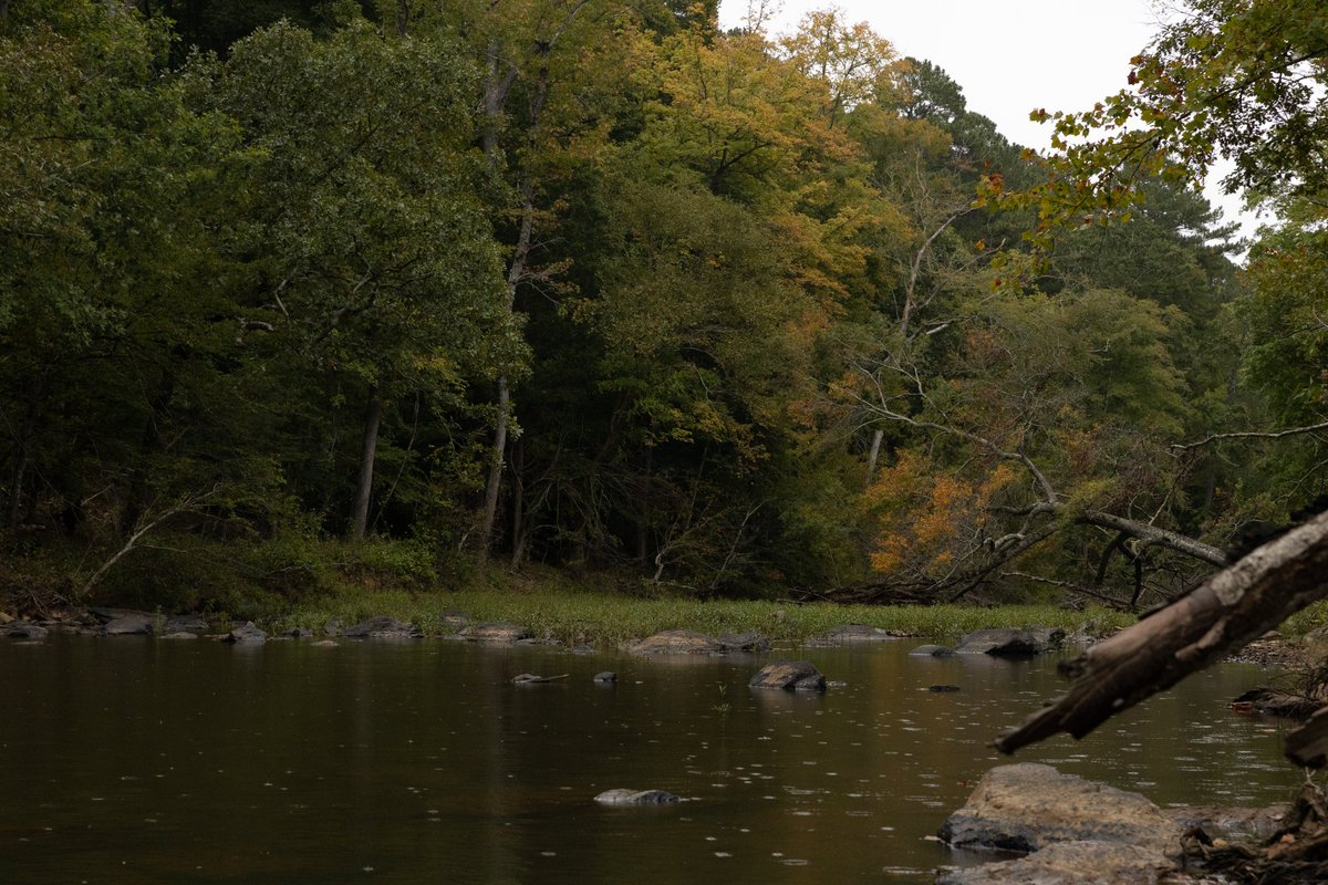 DaveScottWild's tweet photo. Lord, I see what you've done for New Hampshire...Please do it for me too.

The beginnings of fall in NC... https://t.co/kF2JPzZhAN