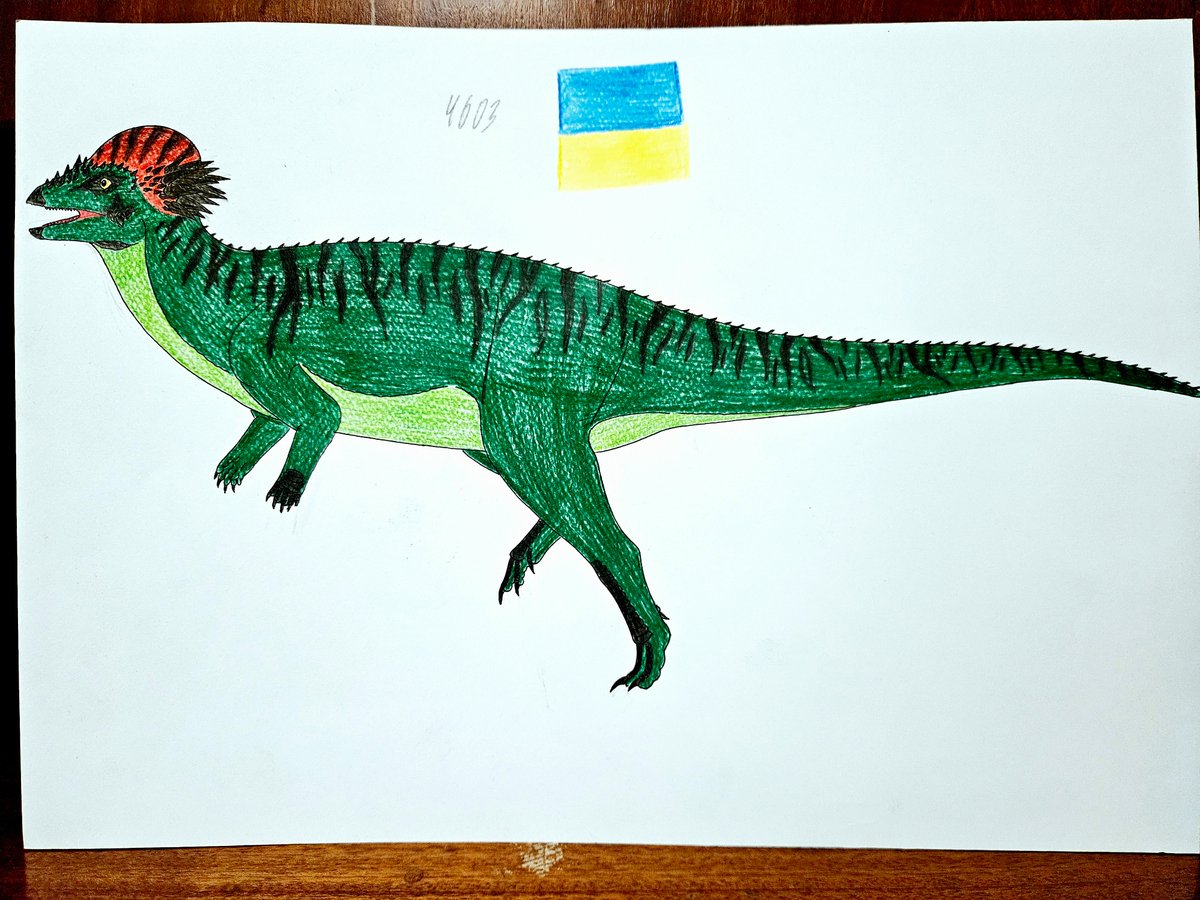 Nikita91257062's tweet photo. Pachycephalosaurus/waharoa | UkrDrawings1999 #pixiv https://t.co/hQVDJrisMQ
#paleoart #prehistoric #prehistoric_creatures #prehistoric_animals #prehistoric_life #prehistoric_planet #dinosaurs_2026 #pachycephalosaurus #prehistoric_whale #waharoa_ruwhenua https://t.co/U3yMDrkTLc