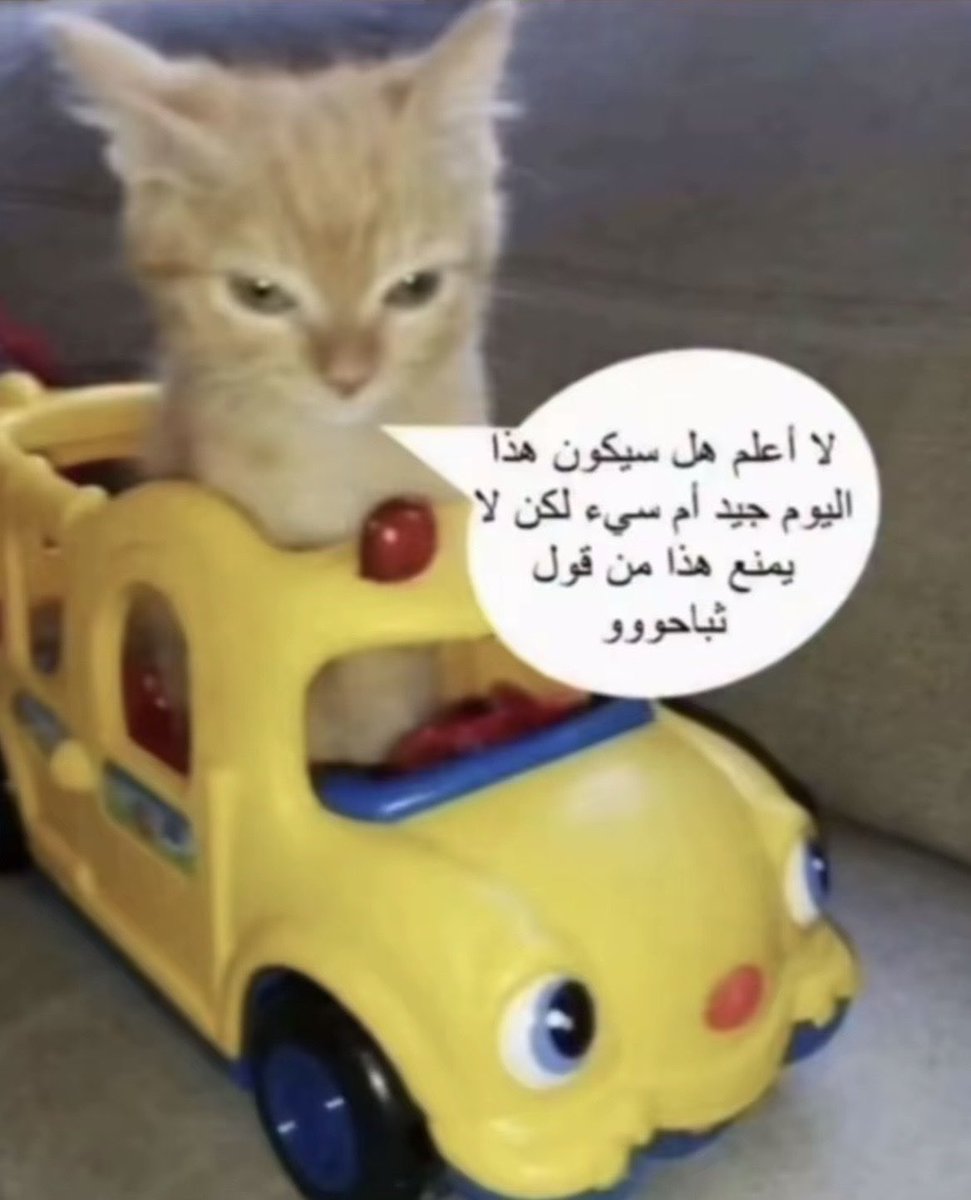 ir8elh's tweet photo. كل الناس تسبك وتدعي عليك وتقذفك 
بس انت مبسوط لان مدري والله بس فيها دعم الشي هههههههههههههههههههههههههههههههههههههههههههههههههههههههههههههههههههههههه 
#٢٠٣٠_بلا_نقاب #٢٠٣٠_بلا_نقاب4 https://t.co/rZbAtnJ6NL