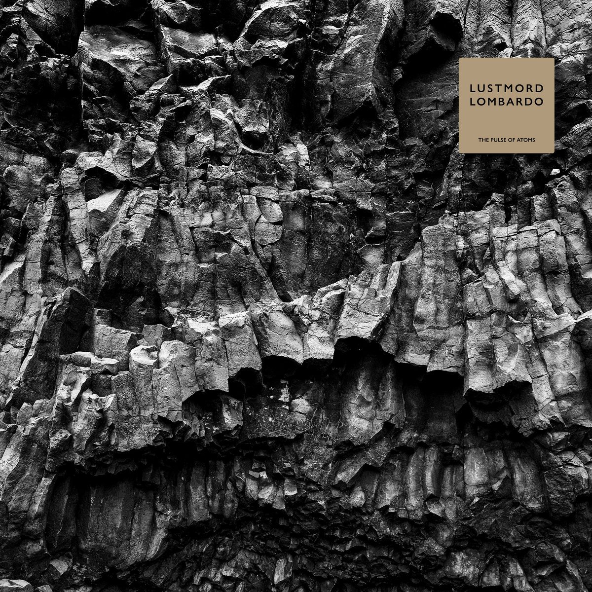 SoFuckinSuave's tweet photo. Dinner time listening in the Louche/Thorne household tonight:

The Pulse Of Atoms by Lustmord Lombardo https://t.co/wOOxIhIUoQ