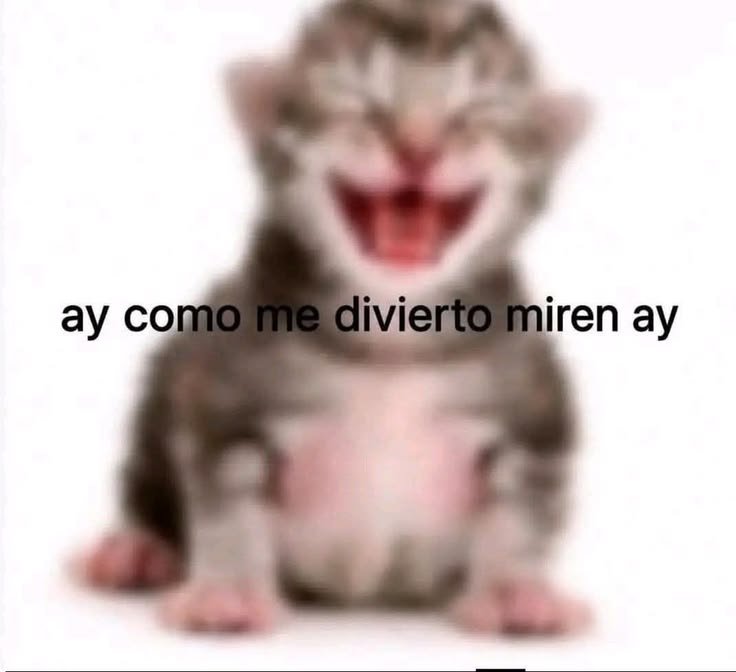 weafome7's tweet photo. @rodrigo30014 @LunaBonillqxha El wey que usa el reversa ? 
No entiendo es pregunta o afirmación ? https://t.co/5gsliz5P2K