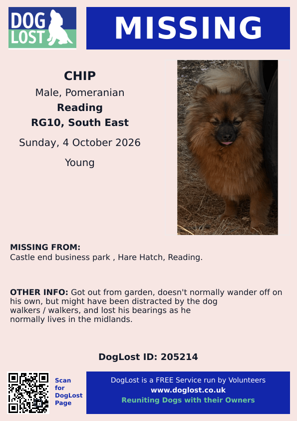 millypod1's tweet photo. π4 OCT 2026 #Lost Chip #ScanMe
YOUNG Pomeranian Male
Castle End Business Park #HareHatch #Reading #Berkshire #RG10
https://t.co/8eQMTXEvlq https://t.co/r2VxxGSCul