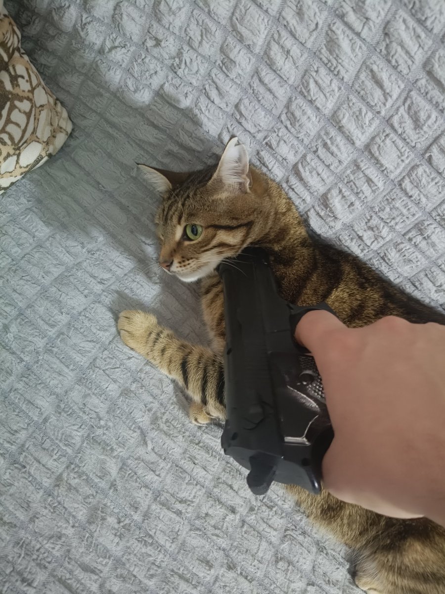 chaqthepgrapher's tweet photo. @gokdevs Benimkisi çalışmıyor https://t.co/elYUCvRJnx