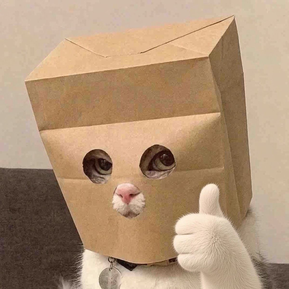 ZLARRYTHECAT's tweet photo. @CryptoCurb @Credib1eGuy https://t.co/k3zwUY7iN2