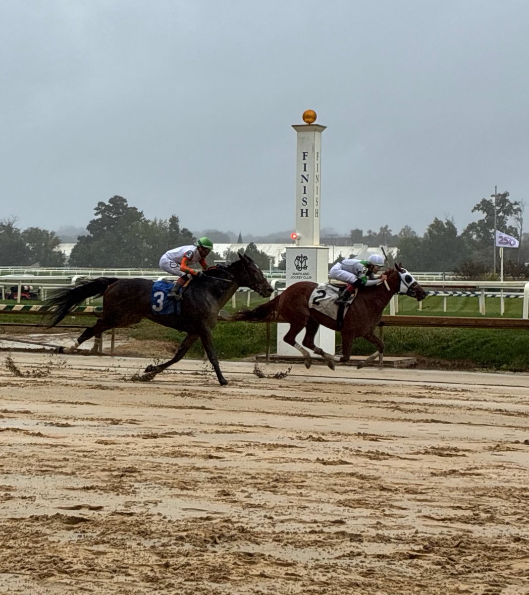 ScottWykoffWBAL's tweet photo. A nice coming home win for @c_mar_quez as he returns to @LaurelPark from @MonmouthPark &amp; takes the 4th w/3yo @MarylandTB Tacit Value for Hugh McMahon &amp; owner Larry Rabold in the $48K allowance off the turf just as the @ravens took a 14-7 lead over @Titans on the many screens here https://t.co/g2h9eqH5Ta