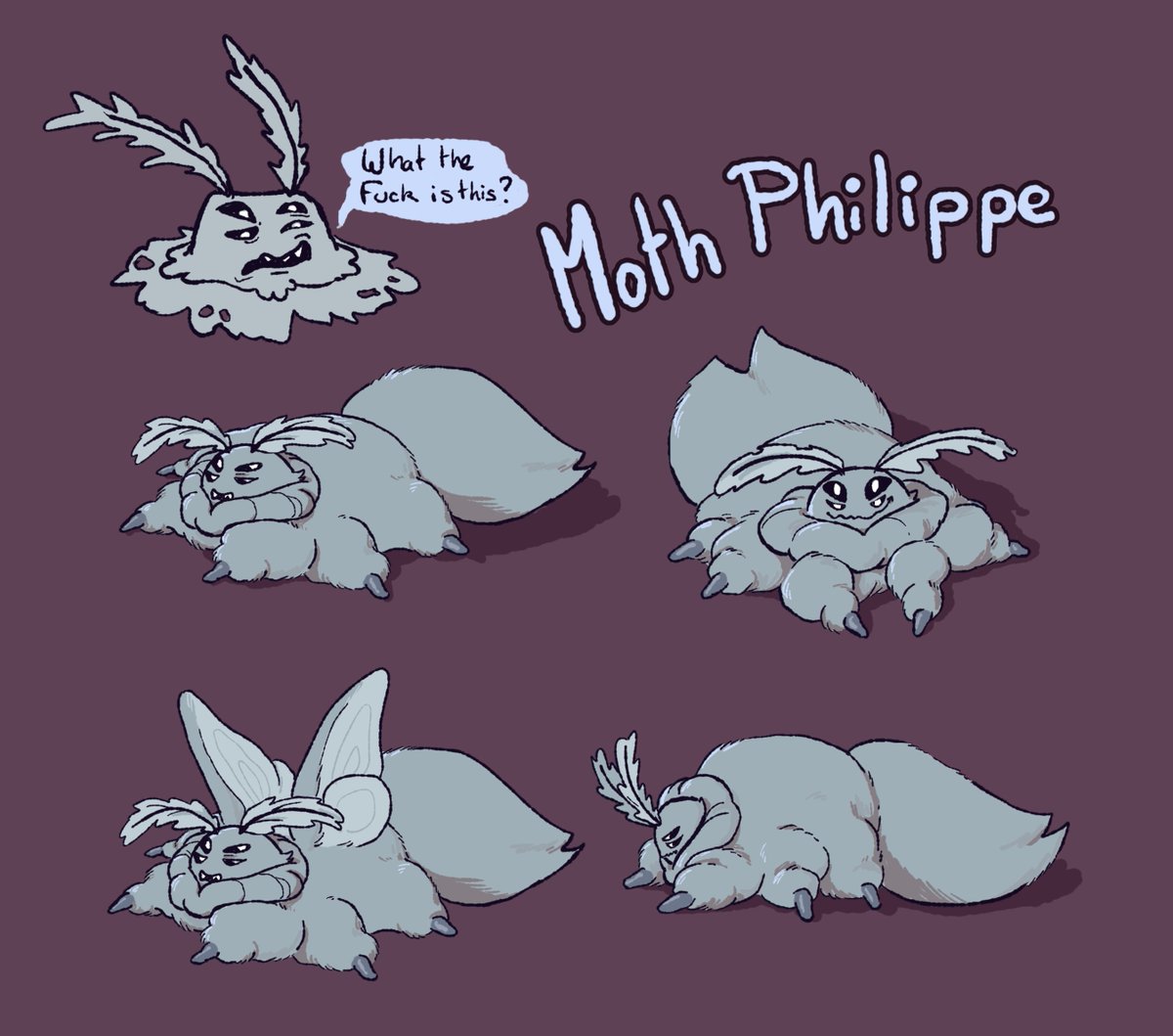 knightl1ng's tweet photo. Philippe but he's a... fluffy moth? 

#lookoutside https://t.co/GzSQjvfHKk