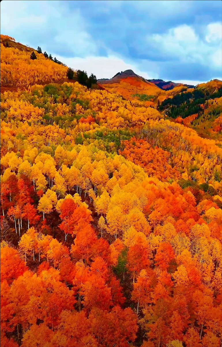 DanPopeWeather's tweet photo. Unbelievable Wasatch Back Colors

A plethora of colors that @utahsight (Trent Sayer) caught from his drone flight over some of the most beautiful Autumn colors I have seen yet this fall. I am surprised at the brilliance of colors this year, because of the hot and dry summer. We expected dull colors, but it turns out the September rain was enough to feed the trees, so they could turn into this spectacular kaleidoscope of brightness.

@dan_pope_meteorologist @weathercaster @UtahWxMetGuy @youtah @dannahyer @cajaaw @Grallon @brianwusa @brian_schnee @adambcarroll @wrighthydromet @UtahWxMan @CVAirportUT10 @stevebaron @SLCScanner @Gman1035ArrowDJ @brianwusa @dannahyer