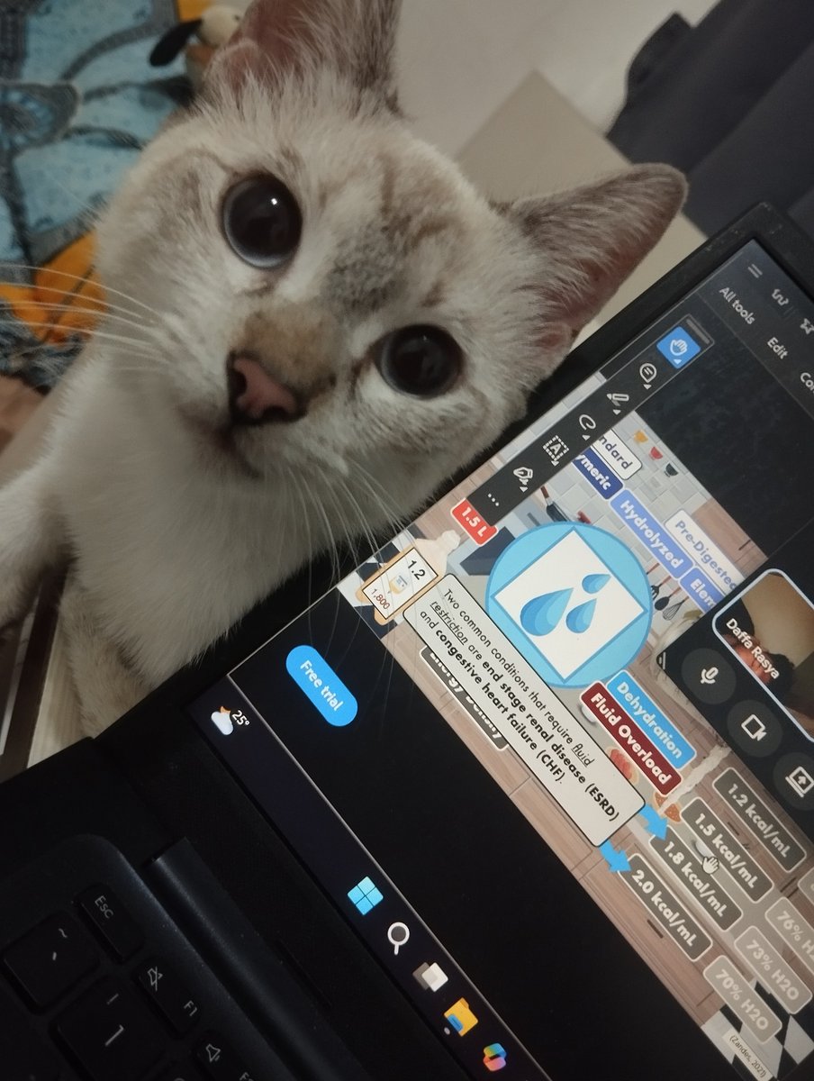 bto2grenz's tweet photo. Anak baik aku🙆‍♀️ https://t.co/W0zqrme2TM