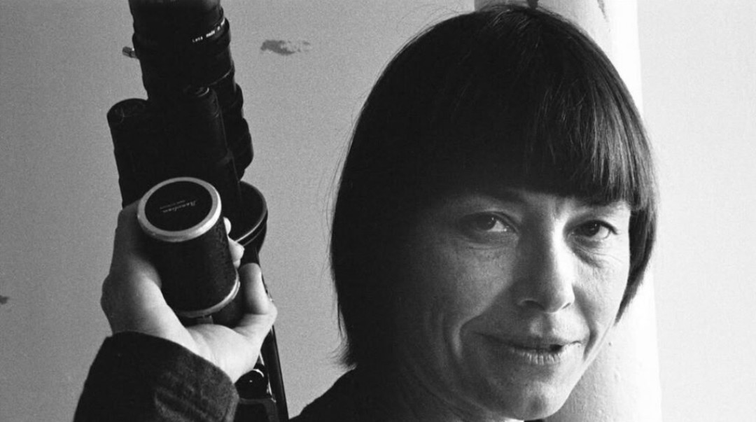 JoshFriedman77's tweet photo. #BarbaraForever is a tender multi-textured bio-doc of pioneering experimental filmmaker Barbara Hammer, who insisted on recording her proudly lesbian life on her own terms. Byrdie O'Connor's debut is a bold examination of artists embracing their true self to the very end. #OOF39 https://t.co/32l1TpAnAP