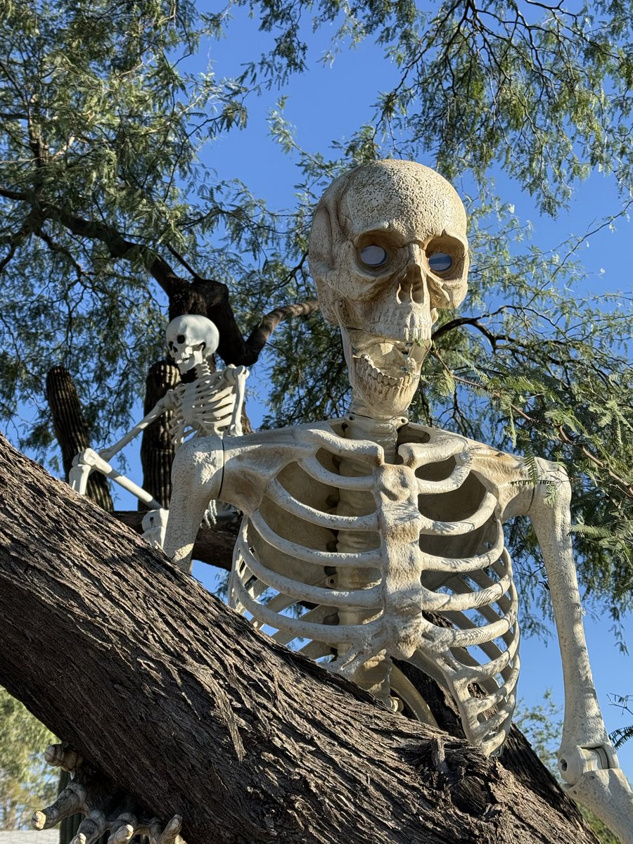 dingusmountain tweet picture