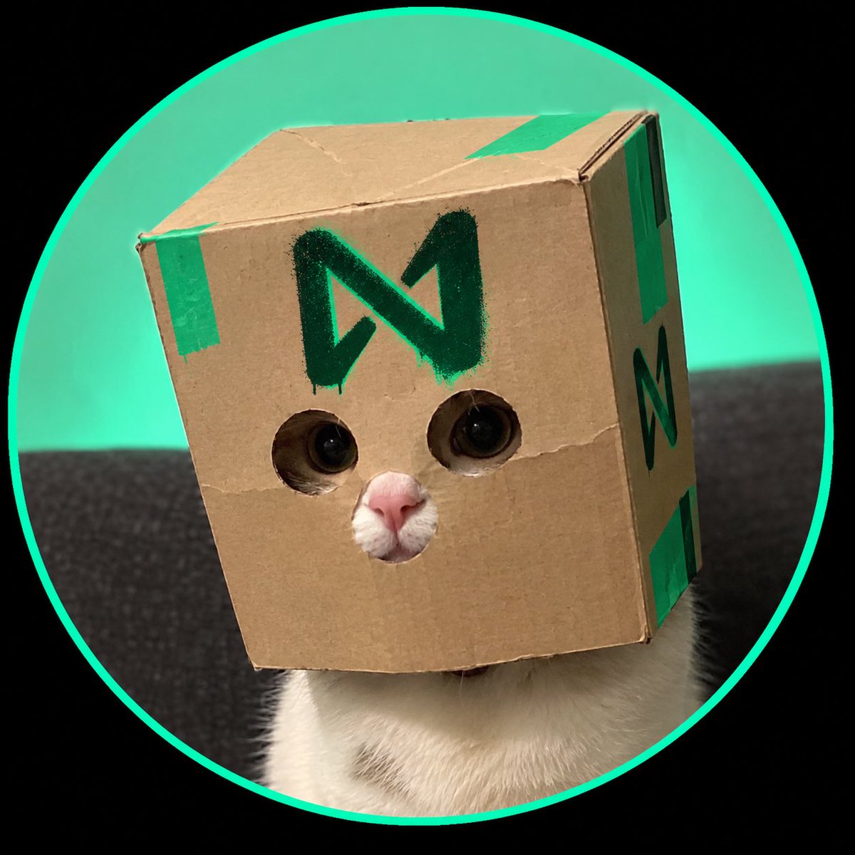 nearly_cat's tweet photo. @nearlytrade $NKAT https://t.co/pbGHusVP4N