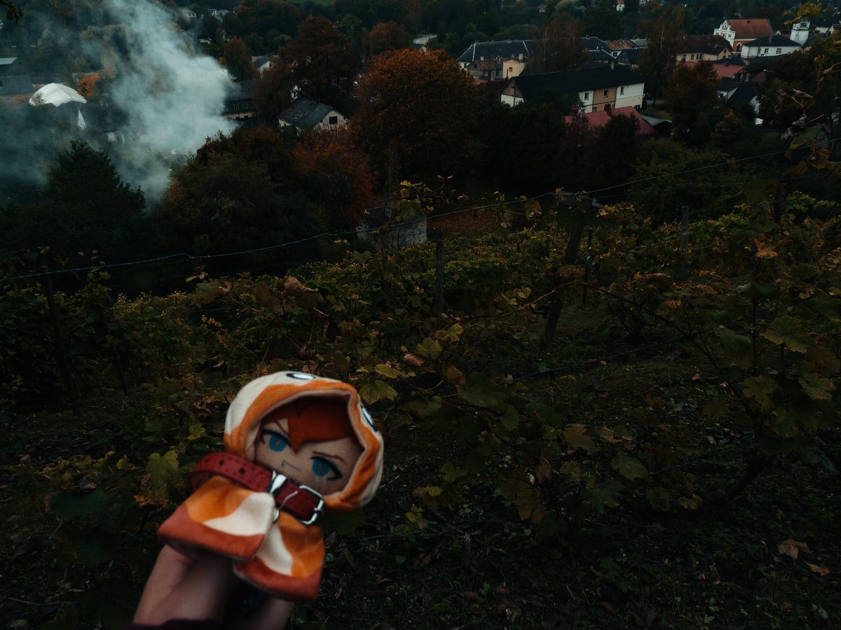 h_godes's tweet photo. Another trip with #Rypape
Showed him some of the culture centres of my country - enjoyed an annual fair with traditional goods (especially food 🤌)
Checked out the vine garden 🍷
He enjoyed a nap in a new basket.
Either way, glad to enjoy the autumn with the little guy. 🍁 https://t.co/LiZ9URdtBn