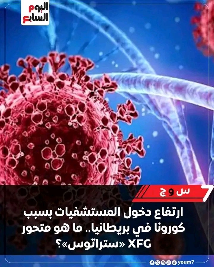 alka74801's tweet photo. يستر الله
ياسركم من الوهم https://t.co/th47kyW4t5