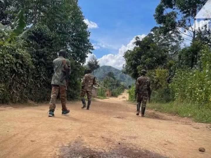 AlimasiManoach's tweet photo. #MASISI / NORD-KIVU🇨🇩🚨 : Nouveaux affrontements entre #Wazalendo et #M23/#AFC

Après de violents combats signalés hier samedi 3 octobre 2026 dans le groupement #Ufamandu 1, chefferie de #Bahunde, en territoire de Masisi, où les résistants #Wazalendo ont attaqué plusieurs positions des rebelles du #M23/#AFC et repris le contrôle de plusieurs villages dont #Remeka, #Muhororo et d'autres localités, de nouveaux affrontements ont éclaté ce dimanche.

Selon nos sources à #Masisi, de violents combats ont été signalés dans la matinée de ce dimanche 4 octobre 2026 dans plusieurs zones des provinces du Nord-Kivu opposant des combattants locaux se présentant comme des #Wazalendo aux rebelles du #M23.

Dans le territoire de #Masisi, les affrontements auraient débuté au milieu de la nuit de ce samedi 3 octobre au dimanche 4 octobre 2026, selon plusieurs sources locales, notamment aux environs de #Mushongi, situé à moins de sept kilomètres du centre de #Katoyi.

D'après ces mêmes sources, les #Wazalendo auraient repris le contrôle du village de #Mushongi à l'issue des combats, À suivre...

La VOIX DU KIVU
@wembi_steve
@actualitecd @StanysBujakera @radiookapi @TopCongo