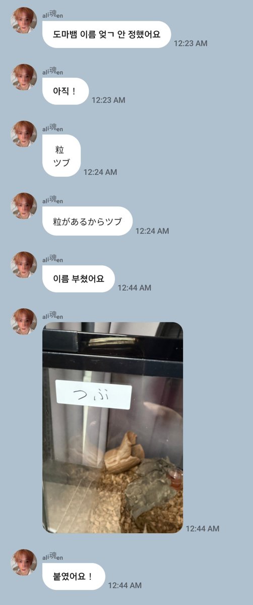 p1hits's tweet photo. soul on fromm about this gecko 🥹

🍟: i still haven’t decided on a name for the lizard
🍟: grain (tsubu)
🍟: i’ll call it tsubu since it has little grains/bumps
🍟: i named it!
🍟: つぶ 

#P1Harmony #피원하모니  #소울 https://t.co/JaT5IKNHBa
