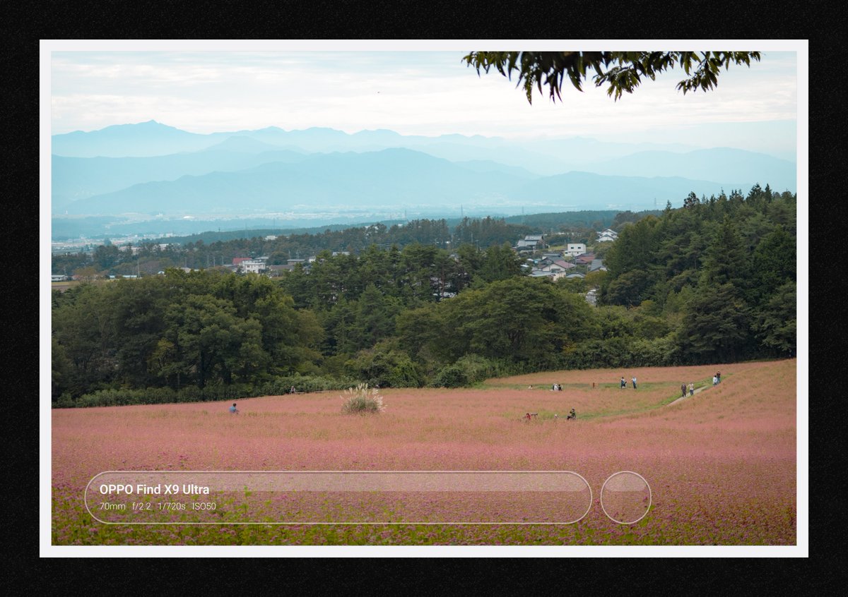 snadraM1's tweet photo. 長野に行ったりしてました。
ぼちぼち写真投稿します。　　

とりあえずFind X9 Ultraにて

 #Exigram https://t.co/JvxPsuVNyo