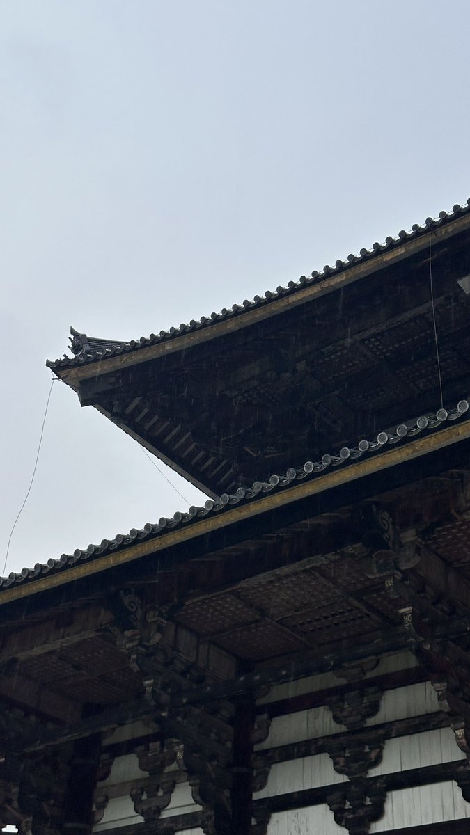 b4ne_59's tweet photo. 東大寺、迫力のある趣深い場所でした
元写真屋として写真撮るのが捗った〜車にカメラ忘れたけど笑 https://t.co/ldDXxayQv1
