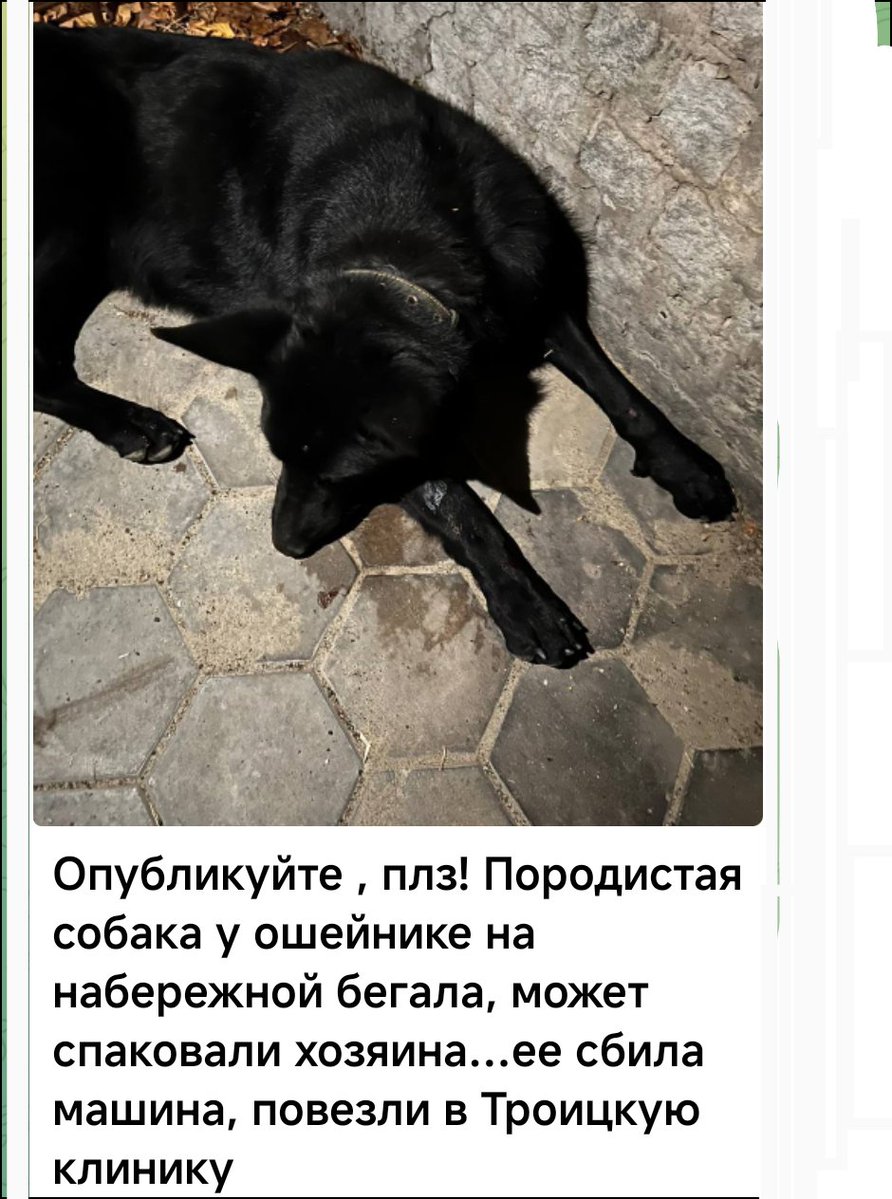 Bylbyleva's tweet photo. Дніпро https://t.co/0uoDT0VysT