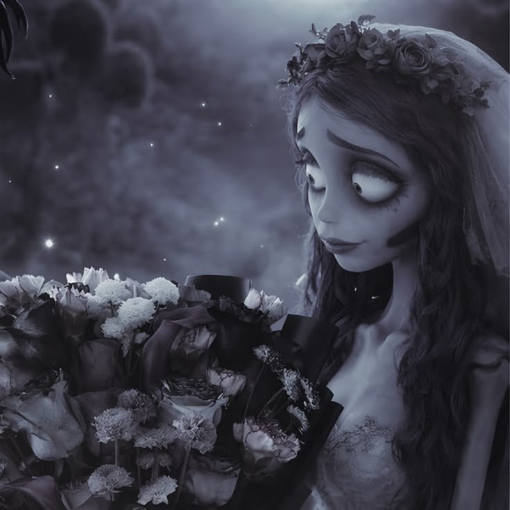 lixia3310's tweet photo. 🖤 https://t.co/c0aVA90KCJ
