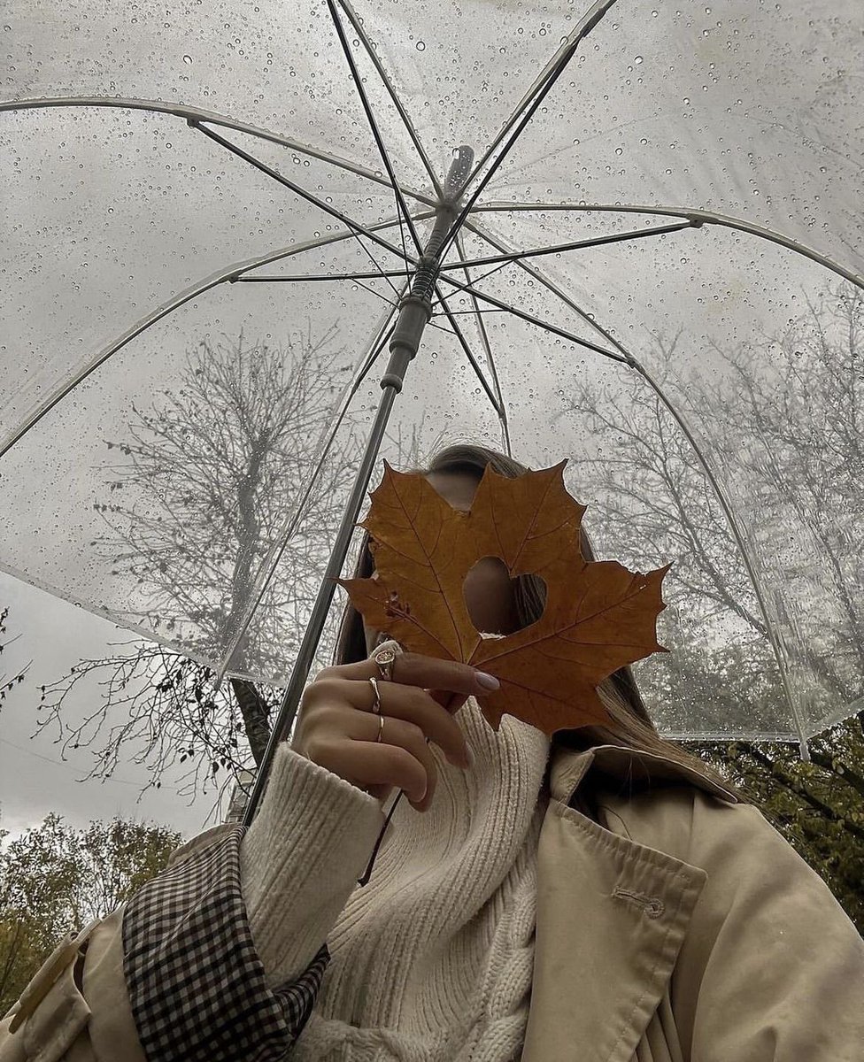 emilysterlings_'s tweet photo. autumn vibes https://t.co/9VQ4hiAqjK