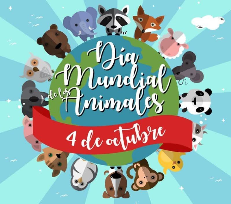 lostwithdragons's tweet photo. ✨🐾 4 de octubre se celebra el Día Mundial de los Animales, en honor a San Fco de Asís, considerado el santo patrono de los animales y la ecología. 🌎🐱🐦🐴 
Se busca crear conciencia sobre el respeto, protección y bienestar de todos los animales. https://t.co/ziw133NVUt