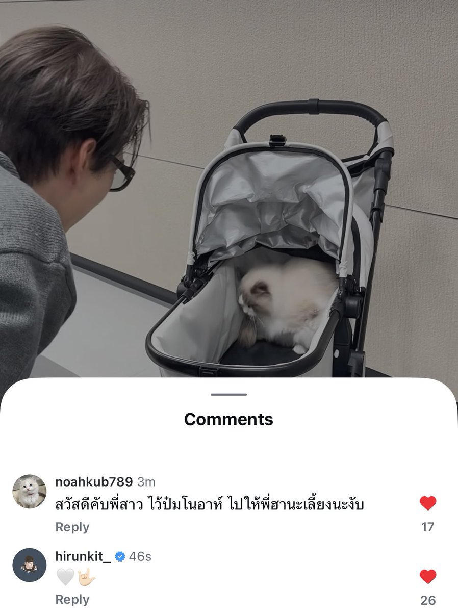 gemijuniii's tweet photo. 🐈 : สวัสดีคับพี่สาว ไว้ปัมโนอาห์ ไปให้พี่ฮานะเลี้ยงนะงับ
🐈‍⬛ : 🤍🤟🏻

น่ารักทั้งน้องโนอาห์แล้วก็นานิเยย รอโนอาห์ไปเล่นกับพี่สาวฮานะนะคับ ฝากพี่ฮานะเลี้ยงด้วยน้า 😽💘😽💘 https://t.co/wsDfPzJq84