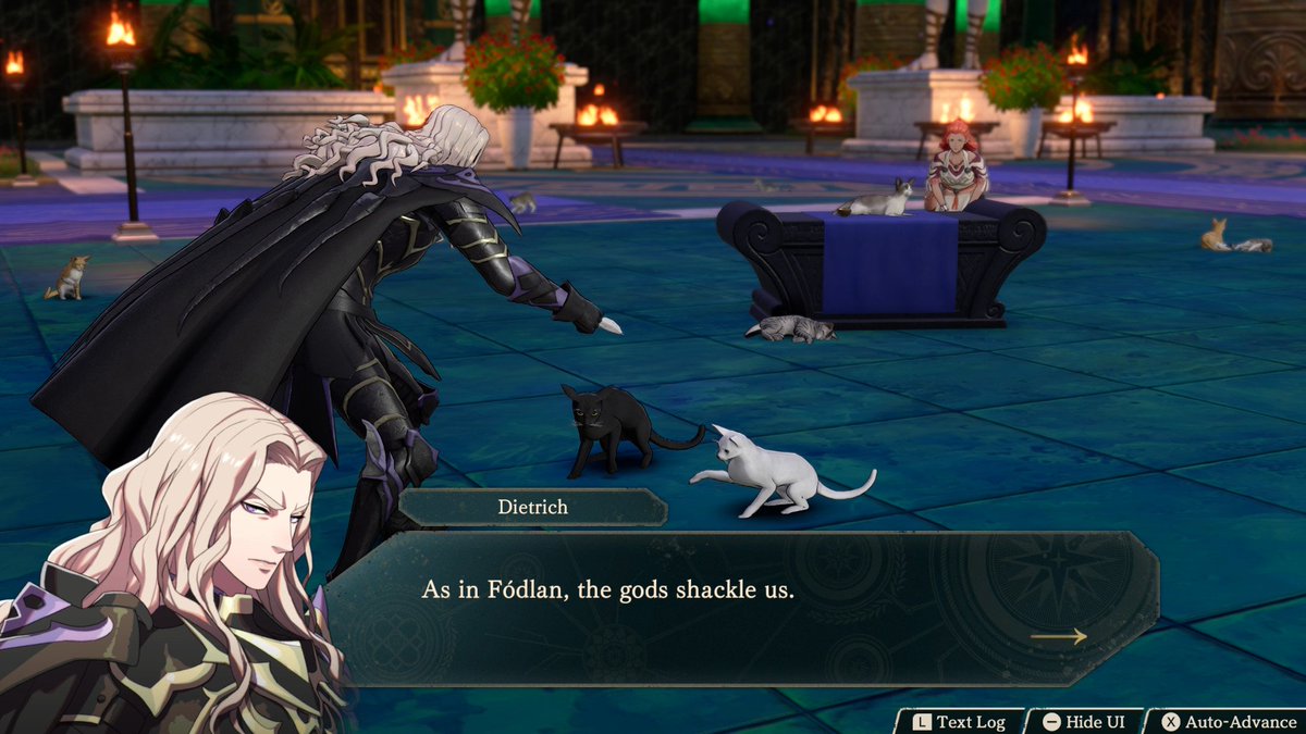 DuelOfRuler's tweet photo. Just play w the kittens boy https://t.co/cf04E6whoQ
