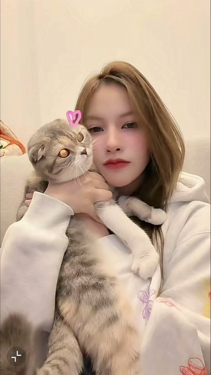 A young woman with light brown hair poses for a selfie while holding a gray Scottish Fold cat against her cheek, with a pink heart filter added near the cat's head.
