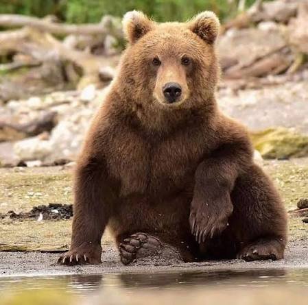 NatureLover_502's tweet photo. https://t.co/0HcfrnOSp4