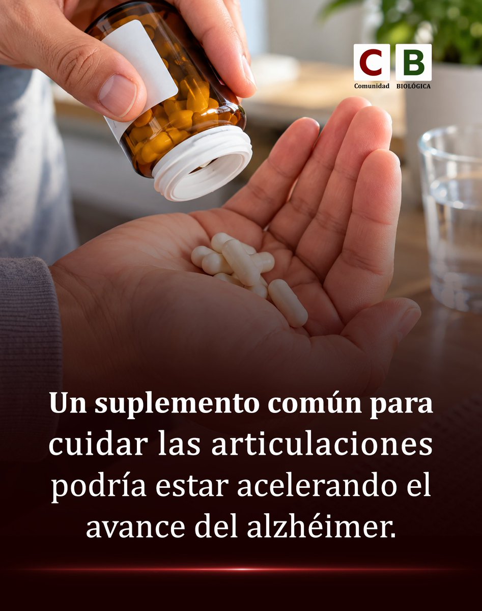 Bio_comunidad's tweet photo. Millones lo toman para proteger sus articulaciones, sin imaginar su posible efecto en el cerebro. Una investigación descubrió que podría acelerar el avance del alzhéimer... (1/2) https://t.co/HjxX65TGAi