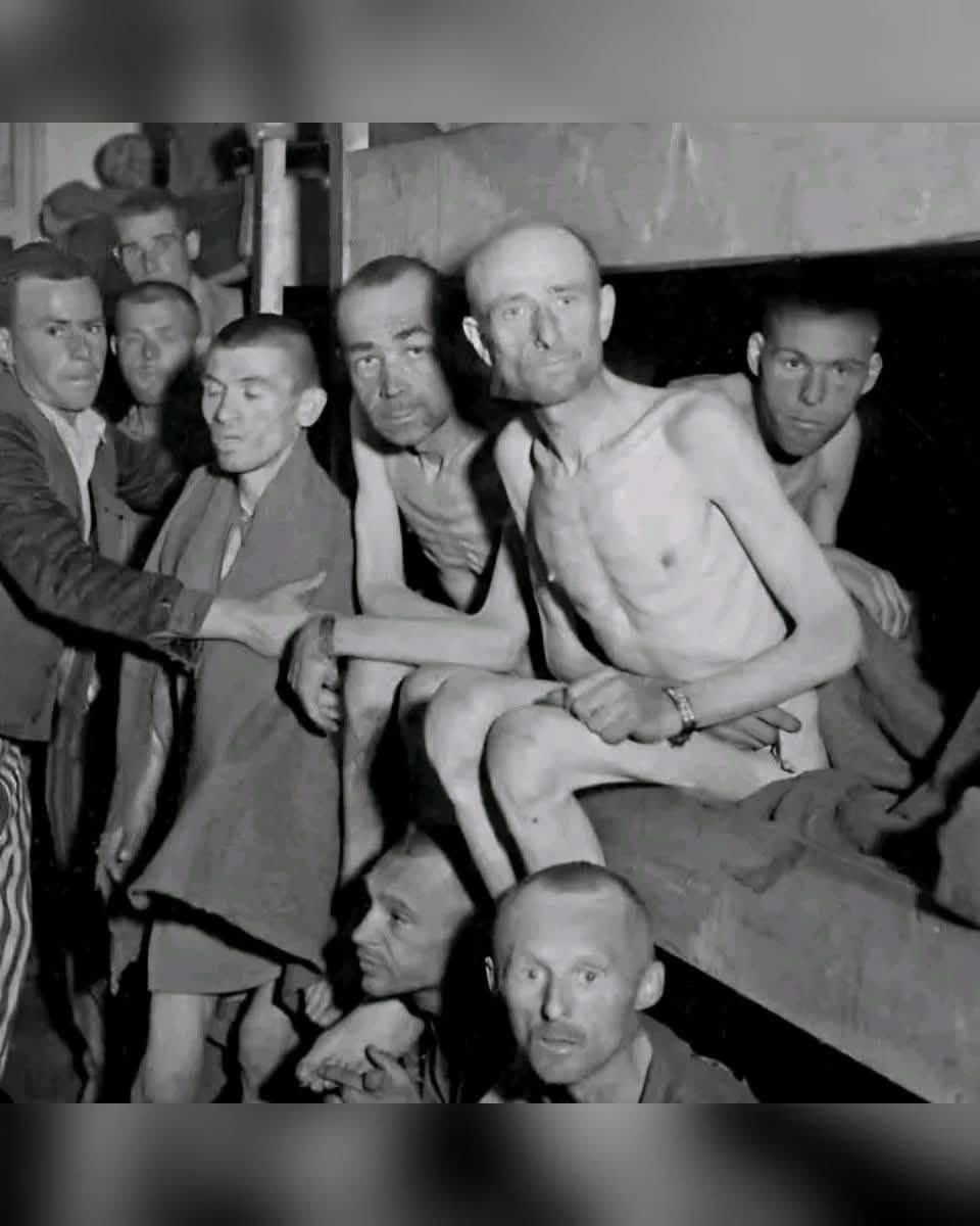 veritebeaute's tweet photo. Ánton était juif et possédait l'une des boulangeries les plus célèbres d'Allemagne. Lorsqu'on lui demandait comment il avait survécu à l'Holocauste, il racontait souvent cette histoire :

— Savez-vous pourquoi je suis en vie aujourd'hui ?

Lorsque j'étais adolescent, les nazis nous ont mis dans un train à destination d'Auschwitz. Des journées entières sans nourriture, sans eau, sans abri. Il neigeait. Le froid était intense. La mort était omniprésente dans le wagon.

À côté de moi, un vieil homme tremblait sans cesse. Je gelais aussi, mais je lui ai frotté le visage, les jambes. Je l'ai serré dans mes bras toute la nuit, je lui ai parlé, je l'ai supplié de ne pas abandonner.

Au lever du soleil, j'ai découvert une chose qui m'a choqué : tous les autres passagers du wagon étaient morts de froid. Seuls lui et moi étions restés.

Il a survécu parce que je l'ai tenu au chaud.

J'ai survécu… parce que je l'ai maintenu en vie.

Et puis Ánton a dit :
« Le secret de la survie est de réchauffer le cœur des autres. Quand on donne de la chaleur, on la reçoit en retour. Quand on aide les autres à vivre… on vit aussi. »

Merci à l’auteur🙌🏼