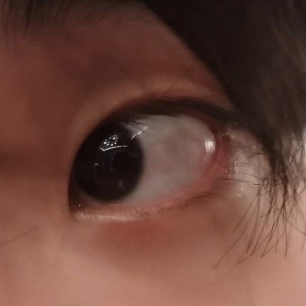 RGgie00's tweet photo. 🕸️๋࣭ ⭑        finally intro ! + moot hunt! 

       19 ,  she/her ,  edtwt — dni if not 
     162cm —> 72 sw, 58 cw, 52 gw 
       not new, just relapsing since april :’) 

• kpop stan, han jisung biased

↻ to be moots જ⁀➴ https://t.co/HuMZ6qCFnQ