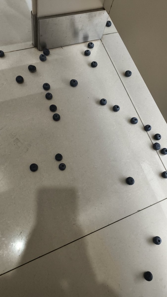 AstrielleLl's tweet photo. dropped the blueberries https://t.co/1XvtTfQn2D