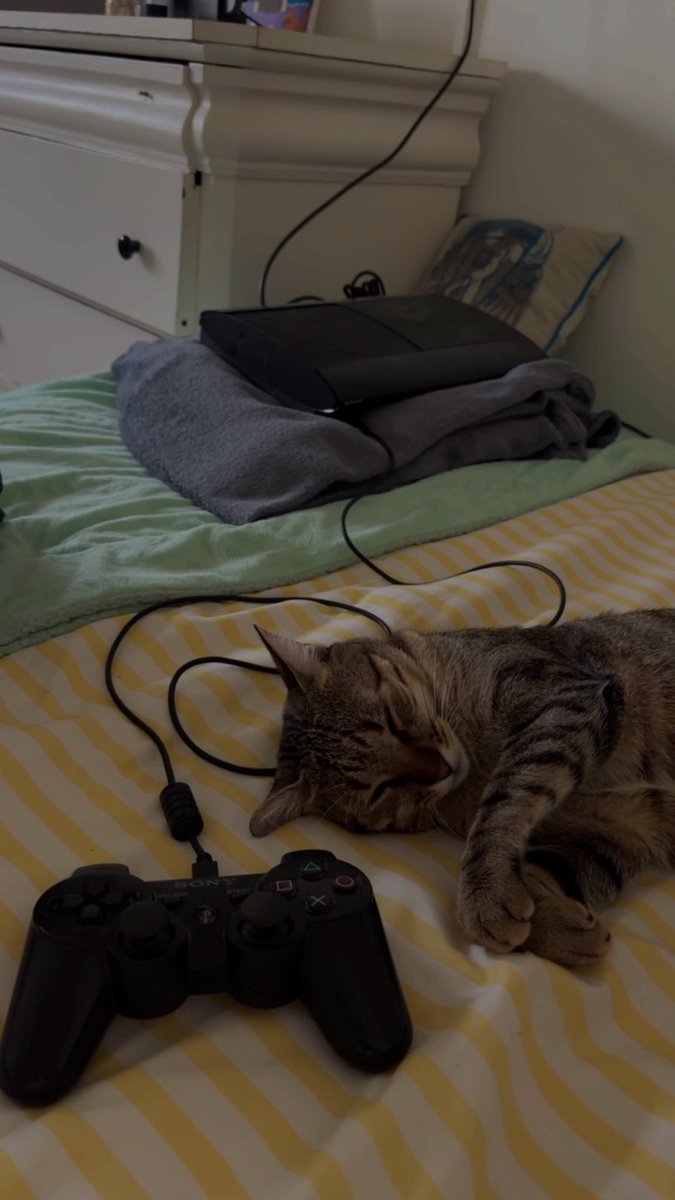 raulitoogm's tweet photo. ✨🐈‍⬛ https://t.co/EEk10Buw2t