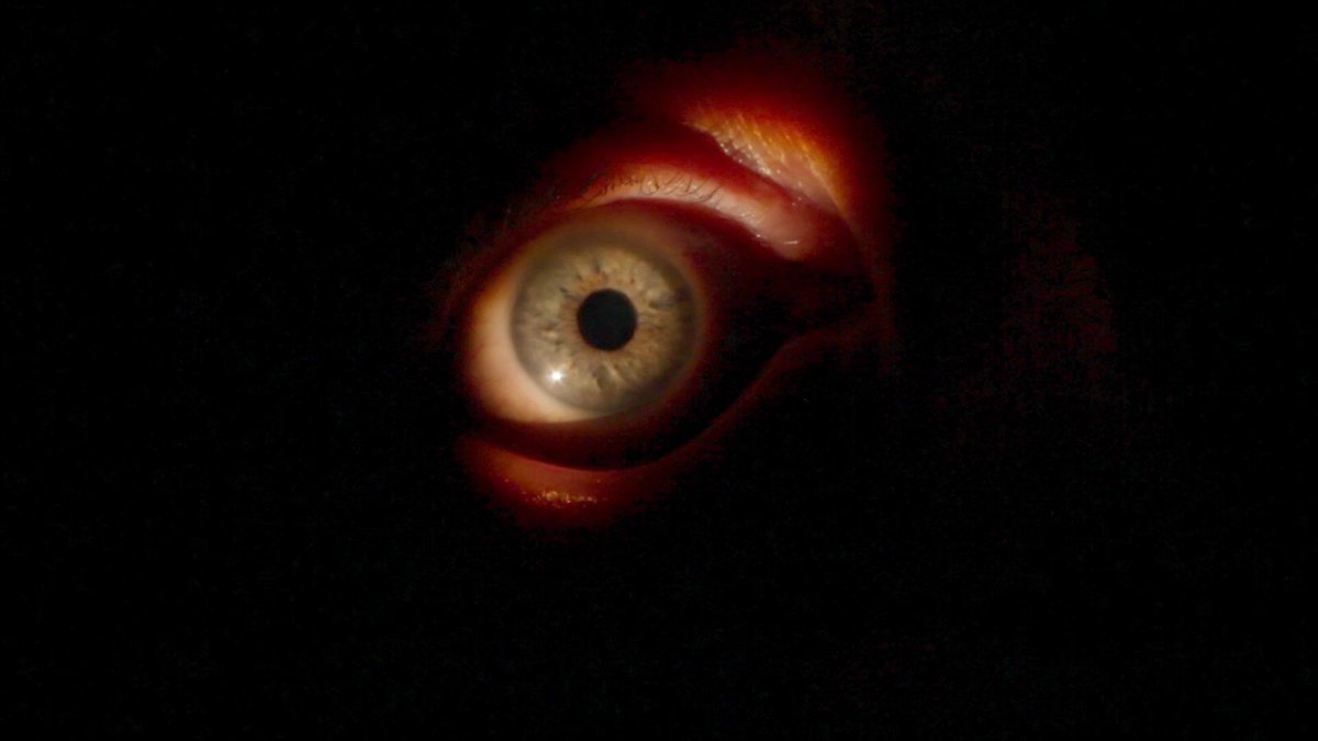 HauntedMovies's tweet photo. Mad God (2022) dir. Phil Tippett https://t.co/wzPlMSu4iA