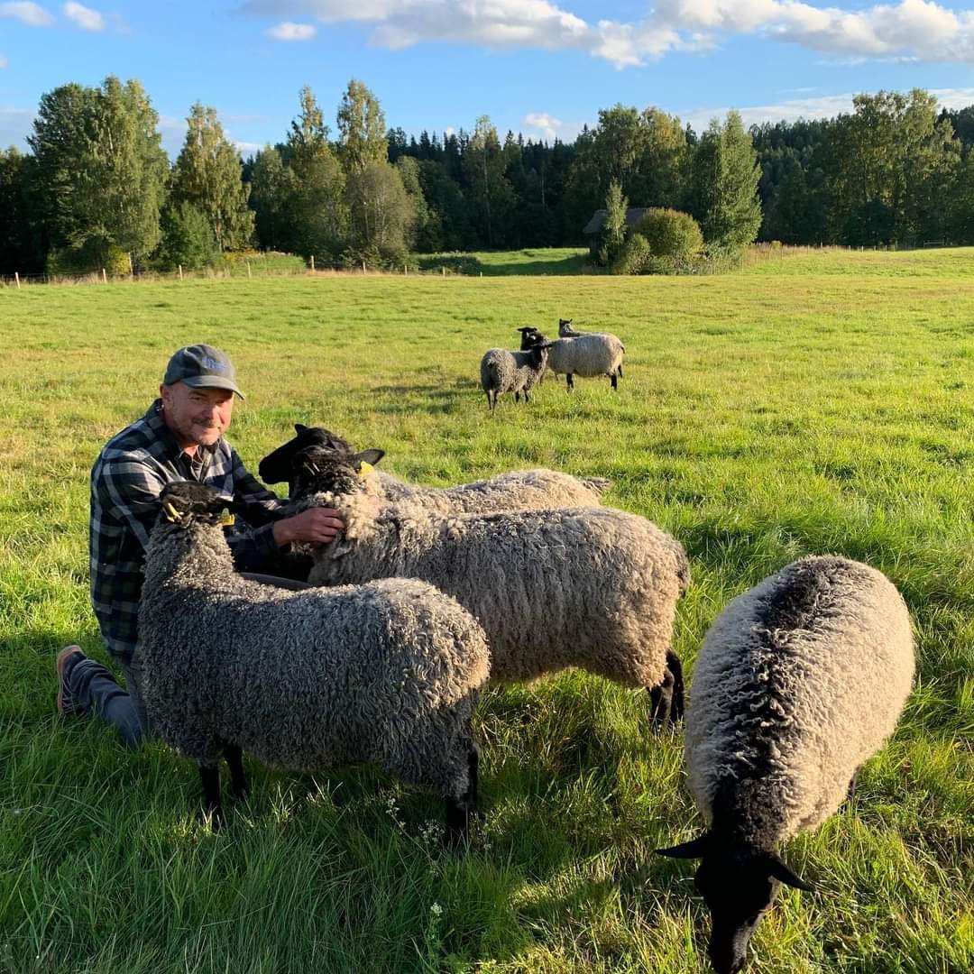 Gimklack's tweet photo. @elalakelmi Fårahede kan rekommenderas. Mycket trevligt 👍 https://t.co/QTBk1p50lU
