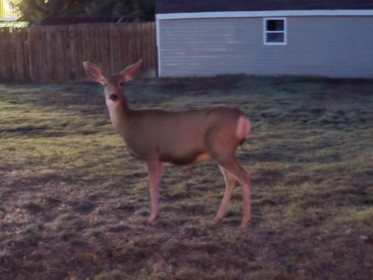 KakarraPerr951's tweet photo. Good morning from Kemmerer Wyoming https://t.co/YJR5z8P447