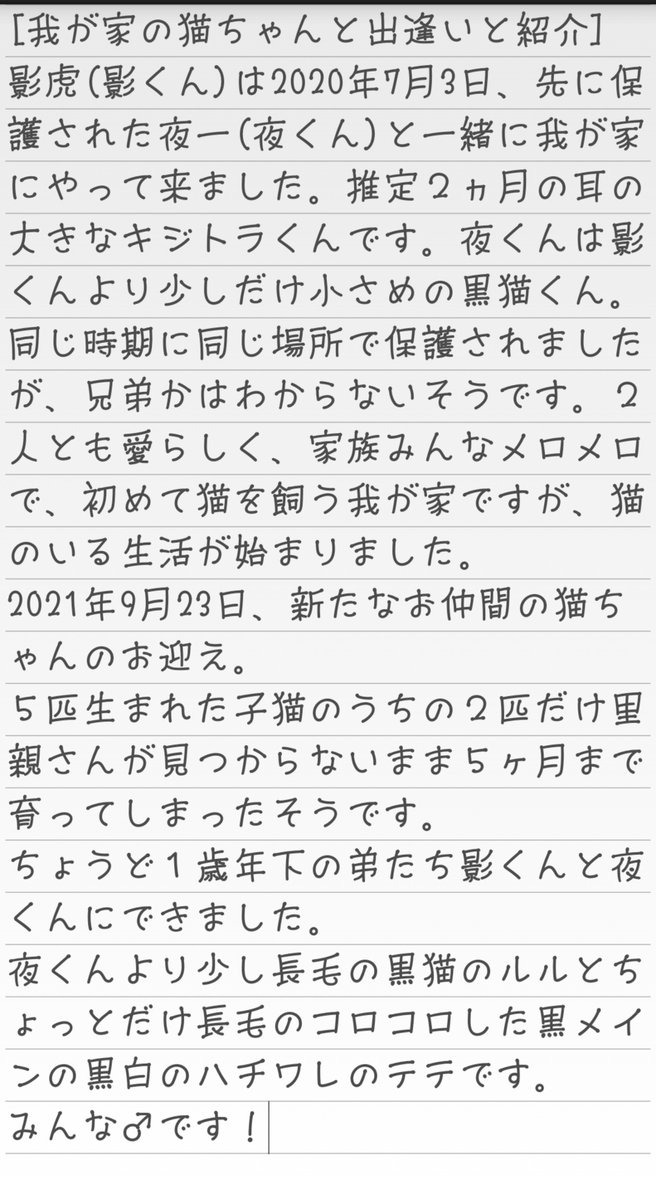 kijitora_kun's tweet photo. #悪性リンパ腫  #寛解
 #猫との暮らし     #猫好き https://t.co/dGUsnAiRg0