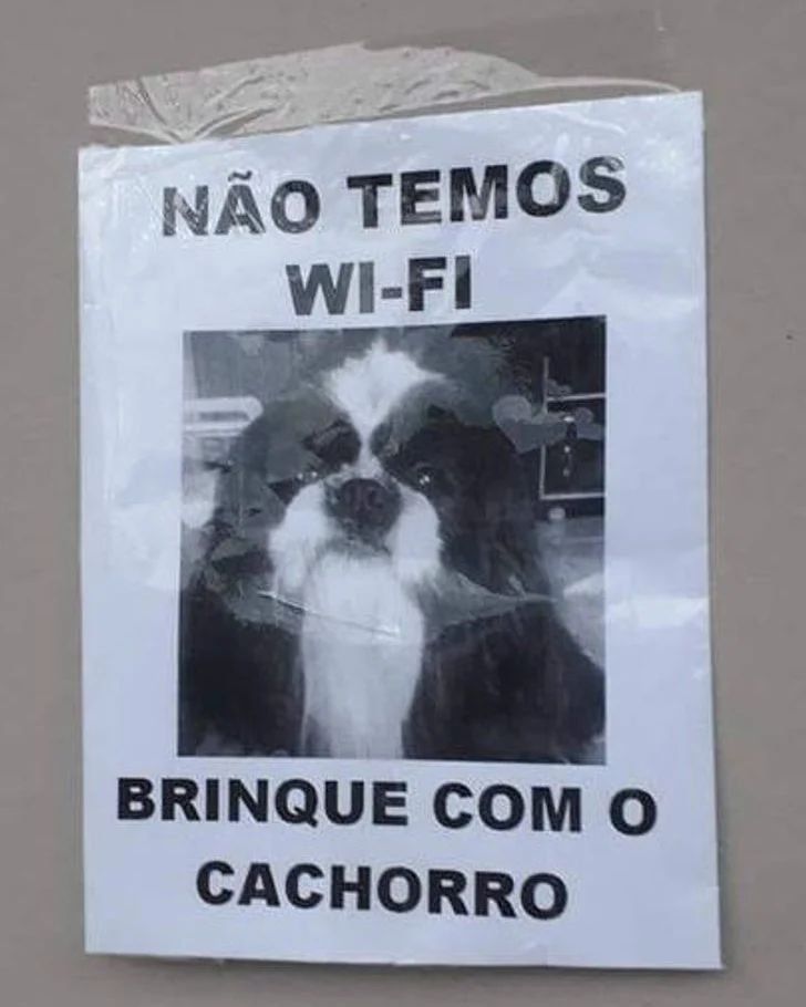 AnaliseDeCalvos's tweet photo. https://t.co/vpCZhC6smZ