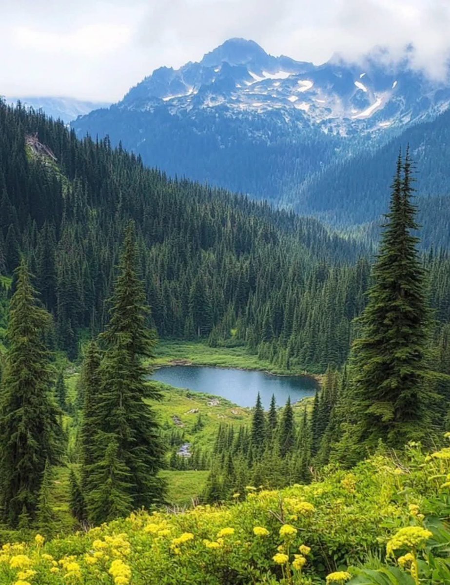 worldclick56's tweet photo. A little mountain escape with views worth the climb. 🏔️🌲 https://t.co/v67sheSpP7