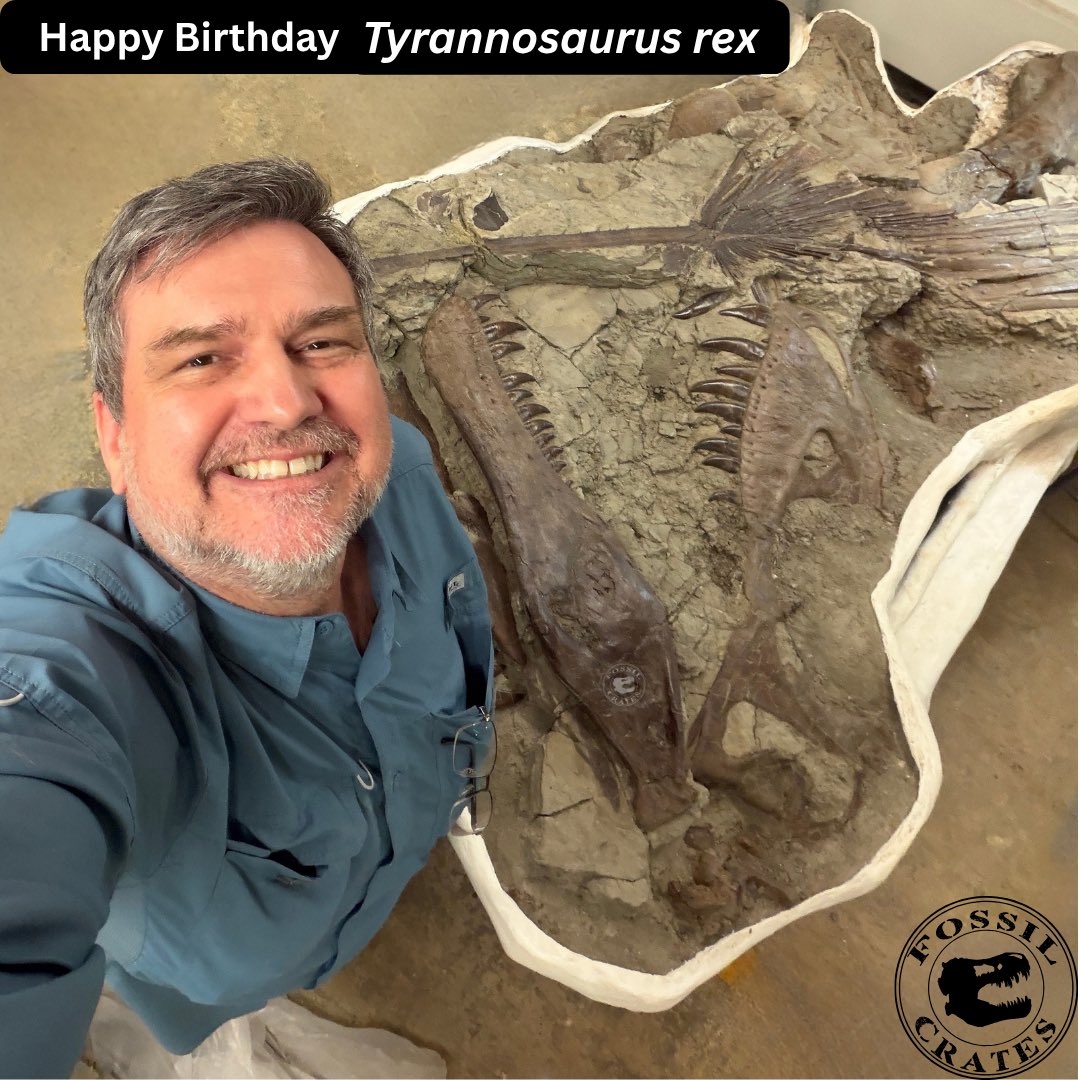 Fossilcrates's tweet photo. #Tyrannosaurus was named, Oct. 4, 1905, as was #Dynamosaurus 

I saw the Dynamo material a few weeks back (thus the pic).

I find it amusing that neither specimen in the 1905 paper resides at AMNH. The holotype was sold to the Carnegie, and Dynamo to London’s NHM.

#FossilCrates https://t.co/iXCK9rkPJZ
