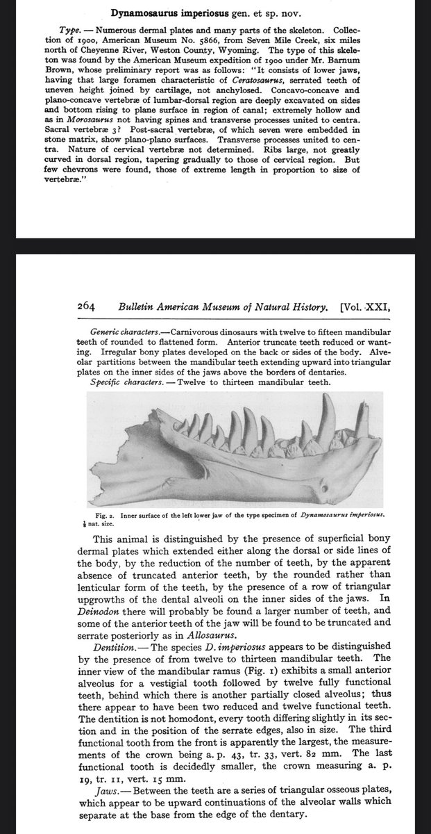 Fossilcrates's tweet photo. #Tyrannosaurus was named, Oct. 4, 1905, as was #Dynamosaurus 

I saw the Dynamo material a few weeks back (thus the pic).

I find it amusing that neither specimen in the 1905 paper resides at AMNH. The holotype was sold to the Carnegie, and Dynamo to London’s NHM.

#FossilCrates https://t.co/iXCK9rkPJZ
