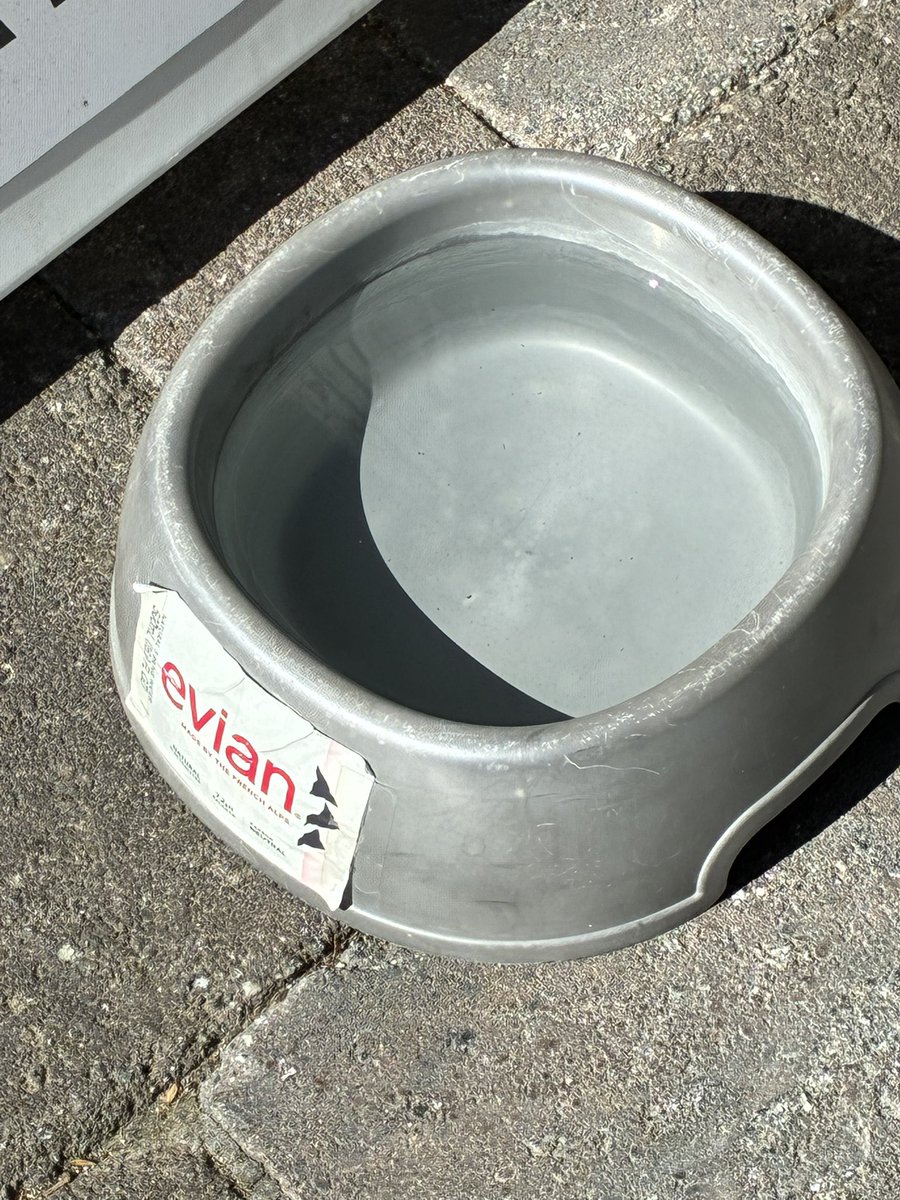 computer_screen's tweet photo. Evian https://t.co/1QU3dN3b58