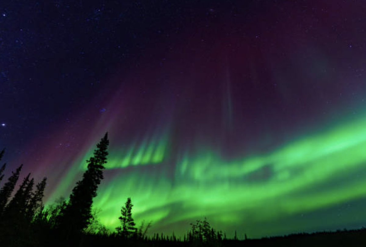 SpaceSkiesEarth's tweet photo. Beauty of the Nights! https://t.co/lXz4xywrQp