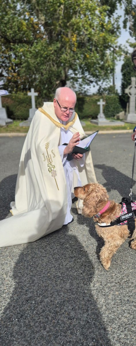 FrDamienQuigley's tweet photo. A lovely moment in the parish today as we gathered for our Blessing of Pets!

It was wonderful to see so many people come along with their much-loved pets as we gave thanks to God for the joy and companionship they bring into our lives, and asked God’s blessing upon them! https://t.co/8sjD3mLyIz