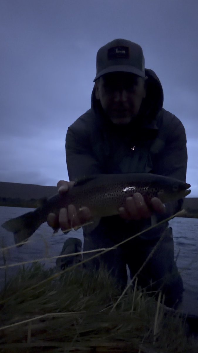 BPFlyfishing's tweet photo. First full day in Iceland this year, doing a little evening fishing for brown trout. This beauty fell for a Kelly Galloup's Slick Willy fly, which was an effective pattern for me last year on this river. 

-Laxá in Aðaldal, Iceland

Please like and follow my page for more posts like this, and don't forget to share it with a friend - thank you! 

#flyfishing #flyfishingadventures #flyfishinglife #browntrout #Iceland